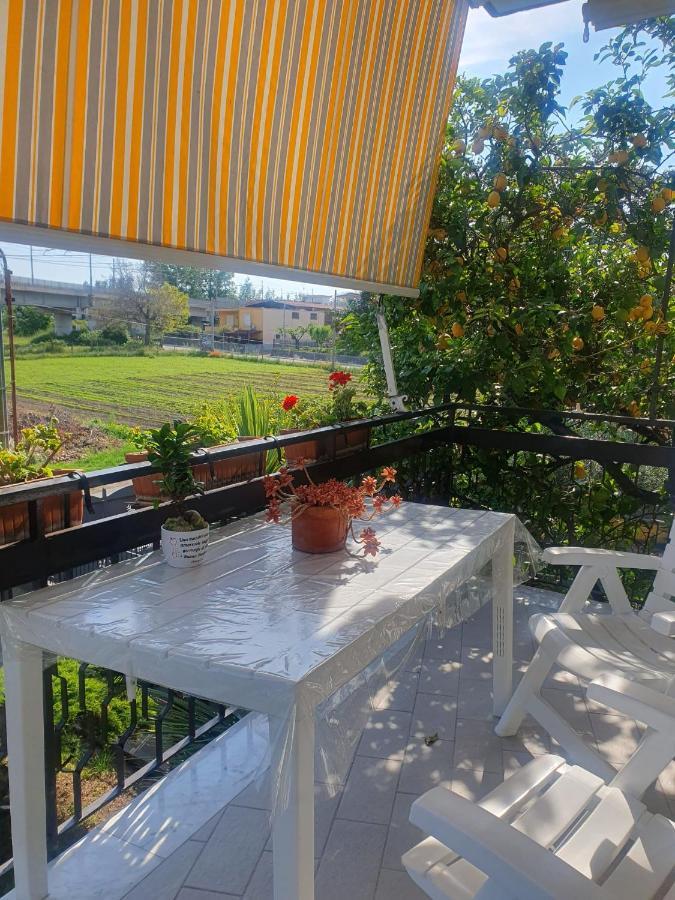 Brusciano Ospitalita Il Noce Bed & Breakfast エクステリア 写真