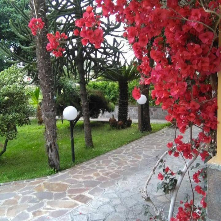 Brusciano Ospitalita Il Noce Bed & Breakfast エクステリア 写真
