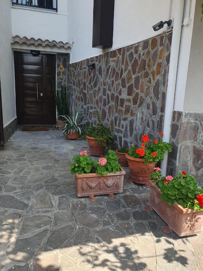 Brusciano Ospitalita Il Noce Bed & Breakfast エクステリア 写真