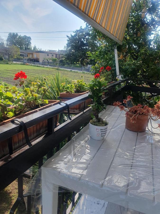 Brusciano Ospitalita Il Noce Bed & Breakfast エクステリア 写真
